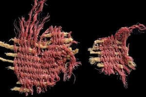Descubren rastros textiles en Israel que se vinculan con las escrituras bíblicas