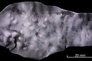 Descubren una tabla de plomo en una letrina con una inscripción maldita