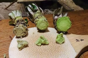 Descubrí el alimento japonés que podría fortalecer tu memoria a partir de los 60 años