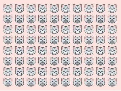 Descubrí en 10 segundos el gato distinto