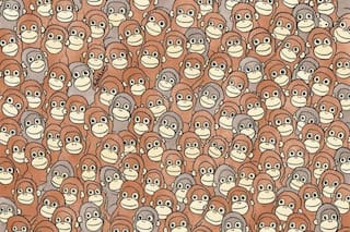 El acertijo viral del mono del momento que solo las mentes más veloces resuelven en 30 segundos