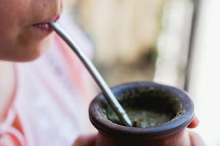 La razón de por qué deberías ponerle menta al mate para mejorar la concentración