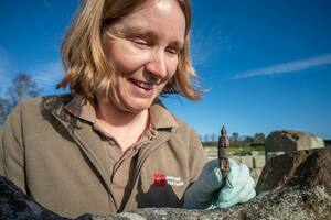 Descubrieron en las inmediaciones del Muro de Adriano una figura de un gladiador que representa la mala suerte