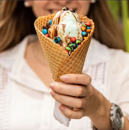 Desde 1963, Blue Bell es sinónimo de helado artesanal en San Miguel de Tucumán. Ya tienen siete sucursales.