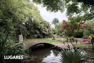 El jardín japonés secreto que florece detrás de un vivero familiar