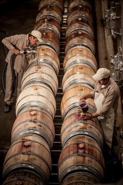 Desde 2005, el francés Thibaut Delmotte es el enólogo de la bodega.