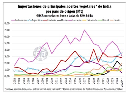Desde 2008 en adelante, la demanda creció de manera sostenida hasta alcanzar, en la última década, niveles de entre 13,7 y 16,6 millones de toneladas. En 2024 se registró un récord de importaciones con 16,6 millones de toneladas y, en 2025, habrían descendido levemente a 15,7 millones, según estimaciones preliminares de SEA citadas por la BCR
