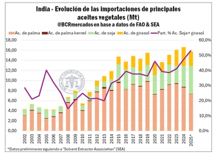 “Desde 2014 en adelante, el aceite de soja y girasol comenzó a ganar terreno de forma más estructural”, destacó el informe