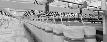 Desde 2020, Santista forma parte del grupo brasileño GBPK Inversiones Limitada