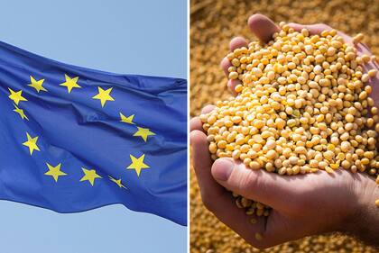 Desde 2025 Europa no comprará soja ni carne, entre otros productos, de regiones que hayan sido deforestadas luego de fin de diciembre de 2020