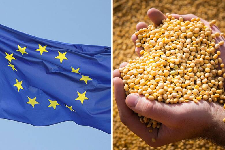 La Unión Europea y sus exigencias ‘exageradas’ al sector agropecuario argentino