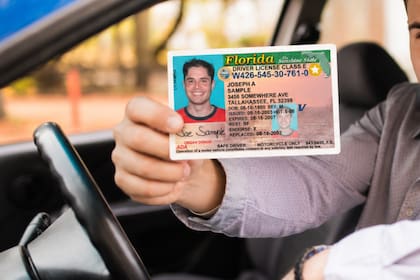 Desde 2027, las personas que no sean ciudadanas estadounidenses recibirán la designación “NC” en sus licencias de conducir