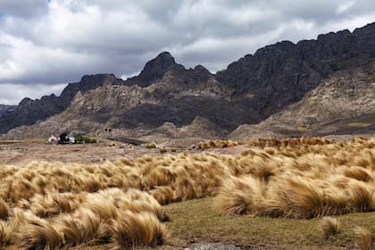 Desde Casas Nuevas se avanza hacia el inicio del sendero norte que lleva a la base del cerro Mogote