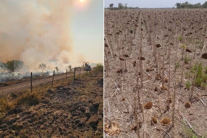 Fuerte tormenta provocó inundaciones en el norte de Santa Fe: evacuados, escuelas con clases suspendidas y ...
