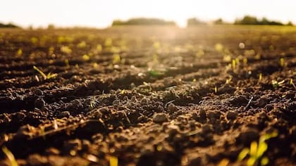 "Desde el 1 de enero hasta el 24 de julio se consumió tanto como la Tierra puede regenerar en todo el año"