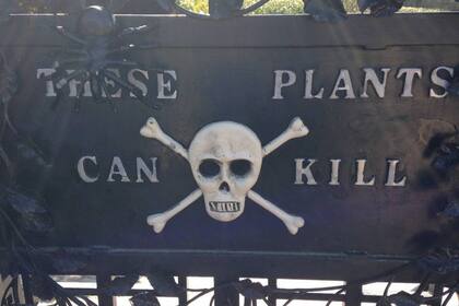 Desde el acceso al Jardín del Veneno hay advertencias sobre el carácter letal de las plantas