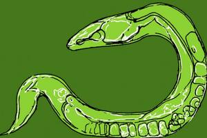 Desde el descubrimiento de la estructura del ADN, ha estado en el centro de todo tipo de descubrimientos extraordinarios sobre cómo funcionan y fallan nuestros cuerpos