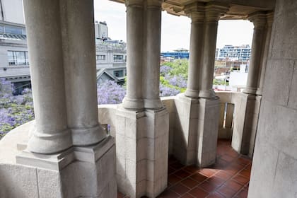 Desde el mirador, una vista de la ciudad y los jacarandás florecidos