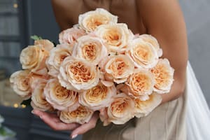 Cuál es el precio de una docena de rosas para el Día de San Valentín en EE.UU.: el mapa con las ciudades más baratas