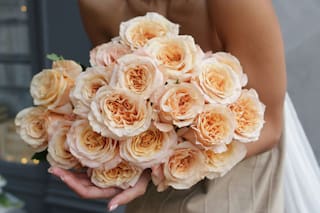 Cuál es el precio de una docena de rosas para el Día de San Valentín en EE.UU.: el mapa con las ciudades más baratas