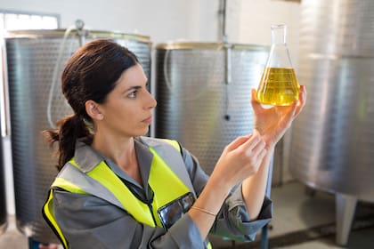 Desde el sector denuncian que el actual esquema de precios pone en riesgo la continuidad operativa de numerosas plantas de biodiésel, poniendo en riesgo miles de puestos de trabajo.