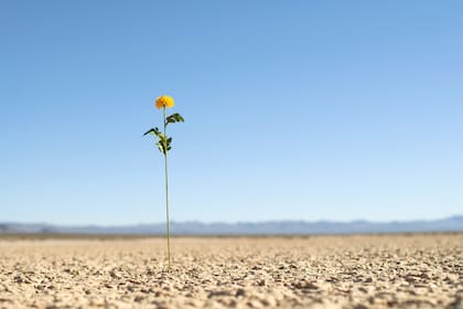 Desde el siglo XIX hasta la actualidad, el término resiliencia se utiliza en el ámbito de la física para describir la capacidad que tienen los materiales para resistir un impacto sin llegar a romperse