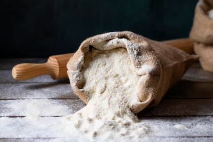 Desde enero de 2026, los principales productores deberán incorporar ácido fólico a insumos de maíz de uso cotidiano