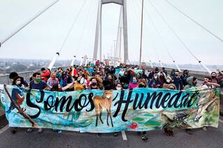 Ecocidio en el delta: Rosario lucha por los incendios en los humedales