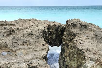 Desde hace décadas que el lugar es altamente preservado