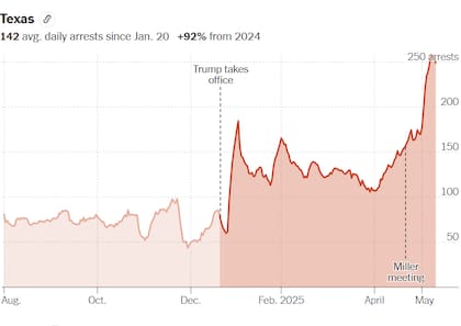 Desde la asunción de Donald Trump, hubo un pico de hasta más de 100 detenciones diarias
