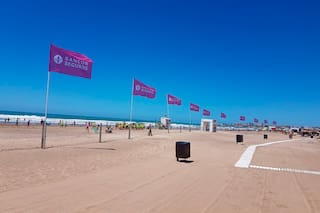 Un verano inolvidable: los beneficios que todos quieren disfrutar