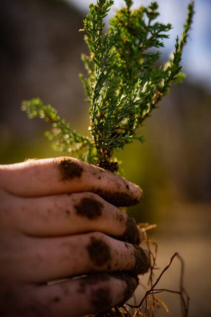 Desde la Fundación Grupo Volkswagen se trabaja para reducir la huella de carbono