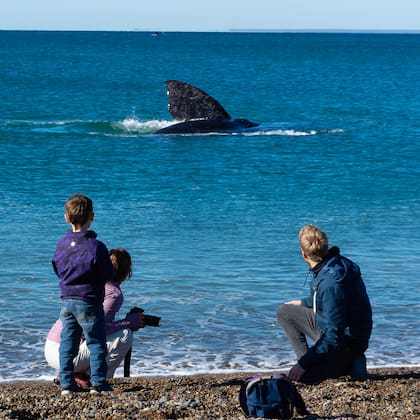 Desde la playa de El Doradillo es posible avistar ballenas desde la costa