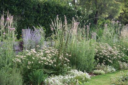 Desde la primavera, los canteros deben mantenerse con una pala afilada para controlar el ingreso de estolones de gramilla.