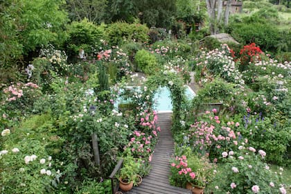 Desde la terraza, se disfruta la vista del jardín de rosas con sus recorridos y rincones para descubrir.
