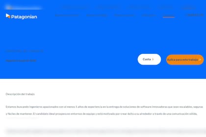 Desde la Web se realiza la postulación (Captura https://patagonian.it/)