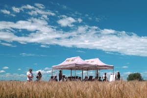 Cómo optimizar cada hectárea ante márgenes que lucen estrechos