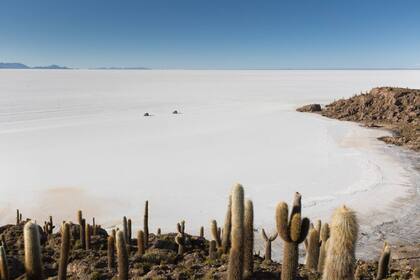 Desde lo alto de la isla Incahuasi se puede apreciar la inmensidad del Salar de Uyuni.