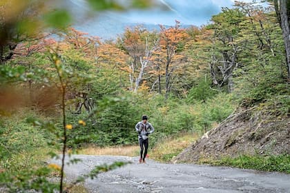 Desde los 12 hasta los 130 kilómetros: esta carrera en Ushuaia combina exigencia técnica con vistas únicas al Canal de Beagle, el glaciar Martial y la laguna Margot
