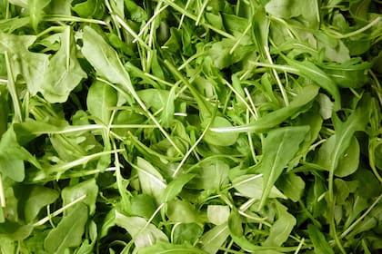 Desde los años 90, la rúcula se usa en la mayoría de las "ensaladas de verdes" de los restaurantes porteños. 