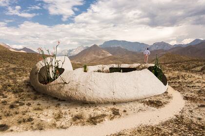 Desde México, un caracol gigante fosilizado