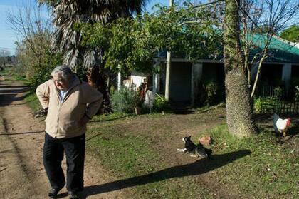 Desde mucho antes de asumir como presidente de Uruguay, Mujica vivía en una humilde casa de la zona rural, donde continuó residiendo durante su mandato