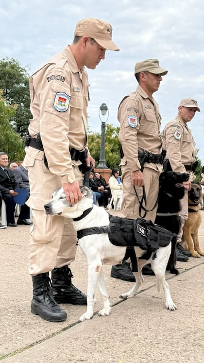 Desde Prefectura destacaron sobre Mía "el temple y la conexión única que forjó con su guía"