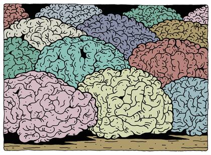 “Desde que ha existido la ciencia del cerebro, ha habido, en retrospectiva, explicaciones neurológicas equivocadas y justificaciones de la desigualdad sexual”, afirma Fine.