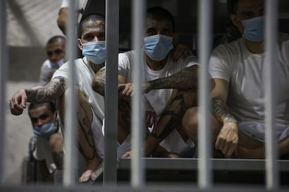 Desde que se implantó el régimen de excepción detuvieron 86.000 salvadoreños, según le confirmó a BBC Mundo el ministro de Seguridad, Gustavo Villatoro