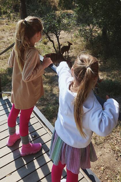 Desde su cabaña, Francesca y Valentina divisaron todo tipo de animales. Incluso, los elefantes se refrescaron en la pileta del hotel.