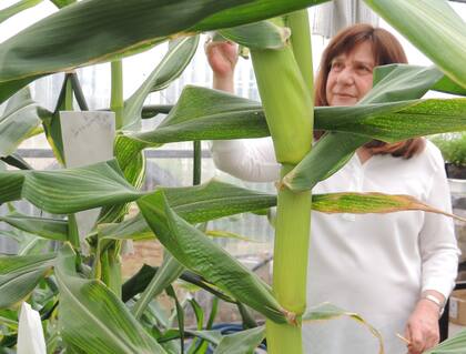 Desde su inicio en la carrera buscó investigar cómo se adaptan las plantas en el medioambiente