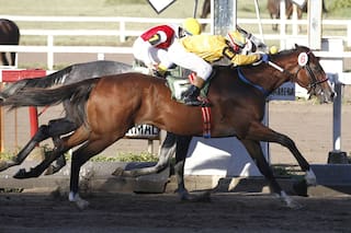 Tres clásicos, una muestra de retratos de jockeys y un paseo gourmet, en Palermo