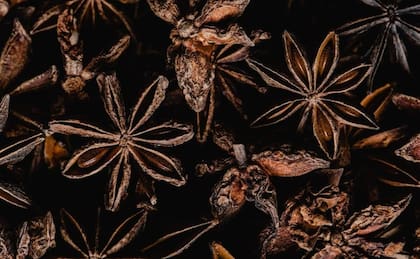 Desde tiempos prehistóricos, el anís se ha utilizado con fines medicinales