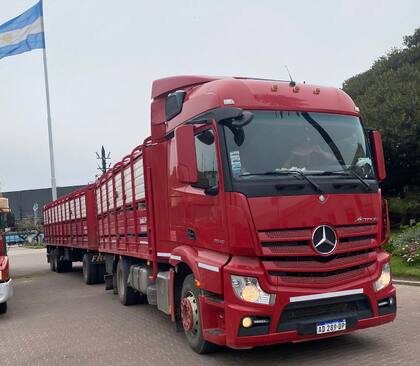 Desde Tierra del Fuego, un camión transportó 12 animales para participar de la Exposición del Centenario de Hereford